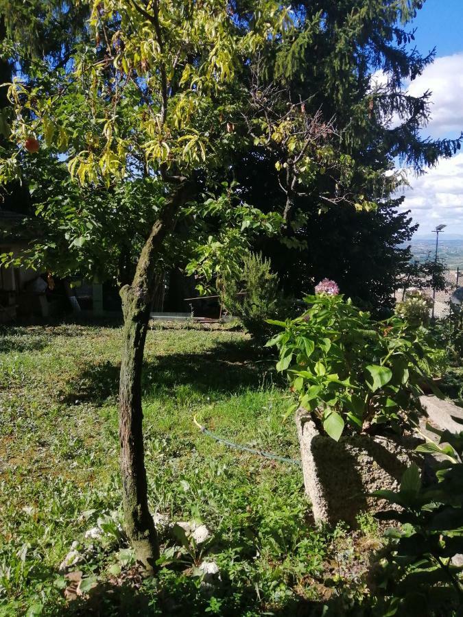 Orto Di Emma Apartamento San Gimignano Exterior foto